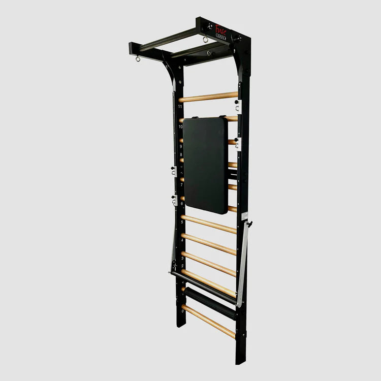 Fuse Ladder wall mounted exercise equipment